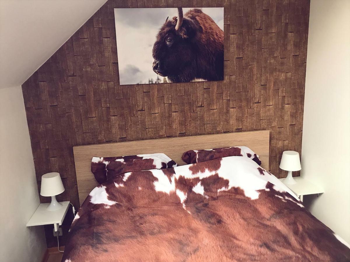 Villa Dakota - Jacuzzi, Zwembad, Playstation Durbuy Ngoại thất bức ảnh